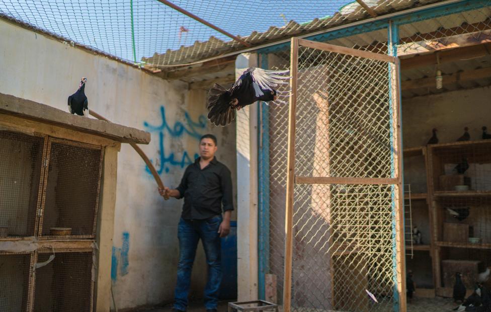 Tariq with bird in coop