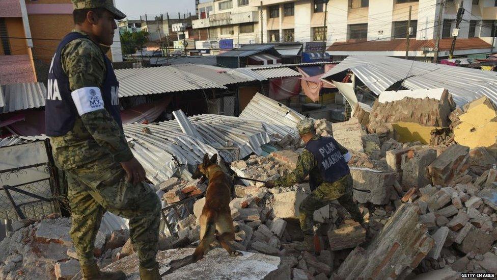 A sniffer dog searches a collapsed building