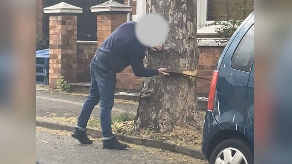 Man trying to chop down a tree