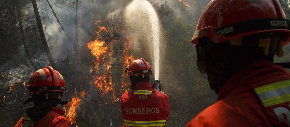 Firefighters battle a fire after a wildfire took dozens of lives on June 20, 2017 in Mega Fundeira village