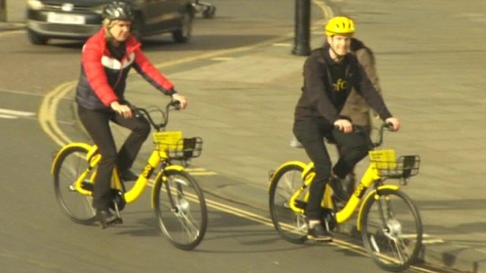 Ofo news on sale