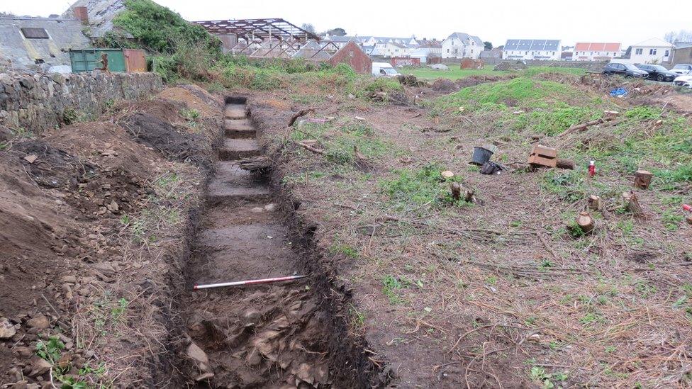 The dig site at leale's yard