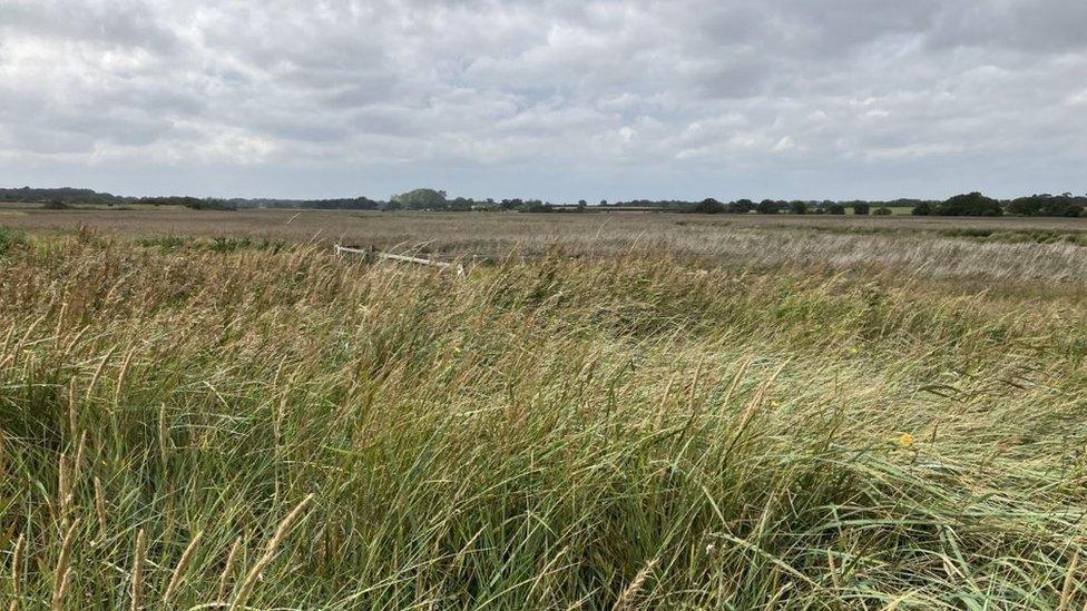 Land at Southwold