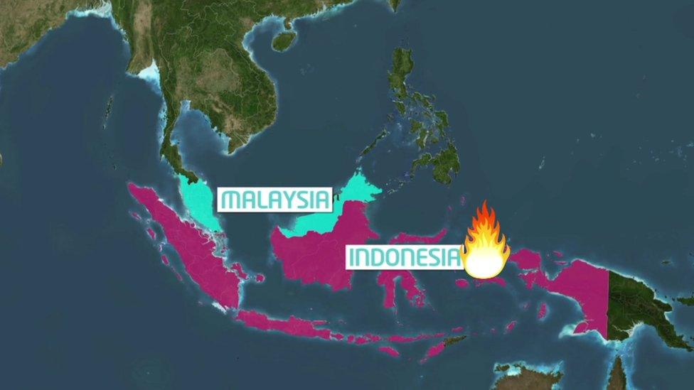 tv map of Indonesia