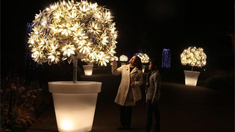 People look at part of the illuminated trail through Kew's after-dark landscape, during a preview for Christmas at Kew Gardens, London