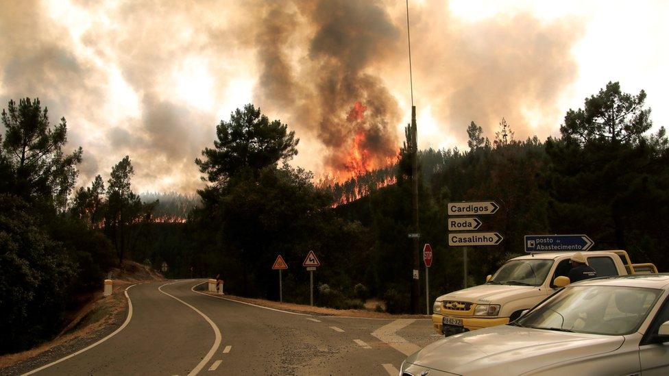 Vehicles pass in front a forest fire in the area of Vila de Rei, Portugal, 21 July 2019