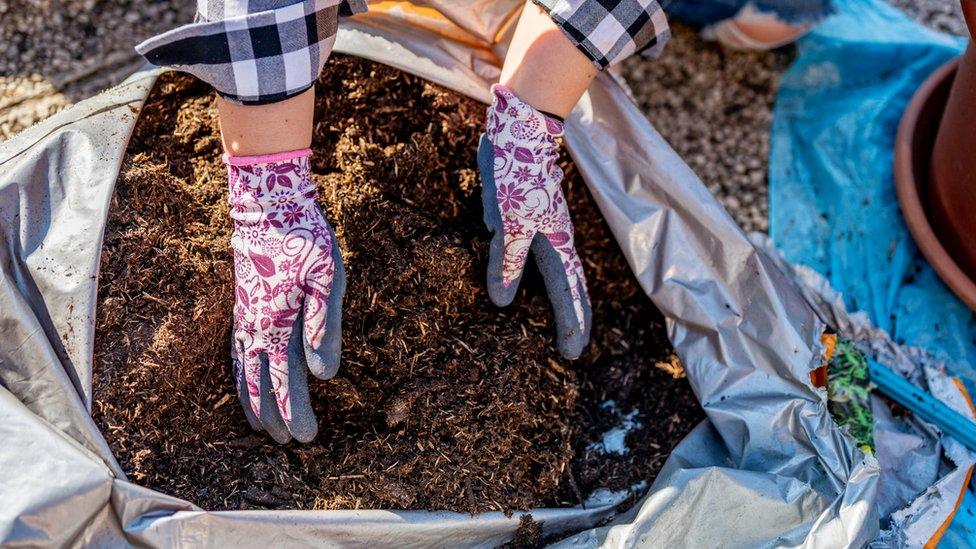 Hands digging up soil