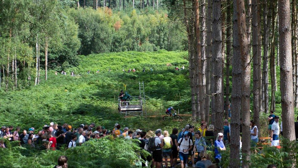 Mountain biking on Cannock Chase