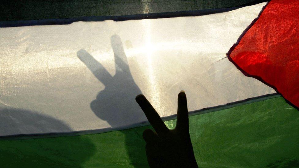 Palestinian makes Victory sign against Palestinian flag