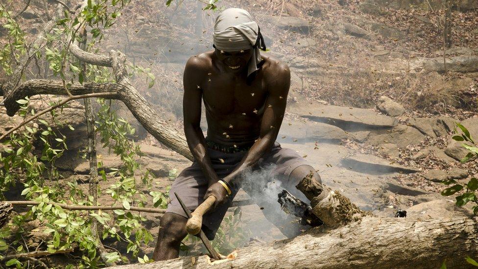 hunter smoking a bees nest