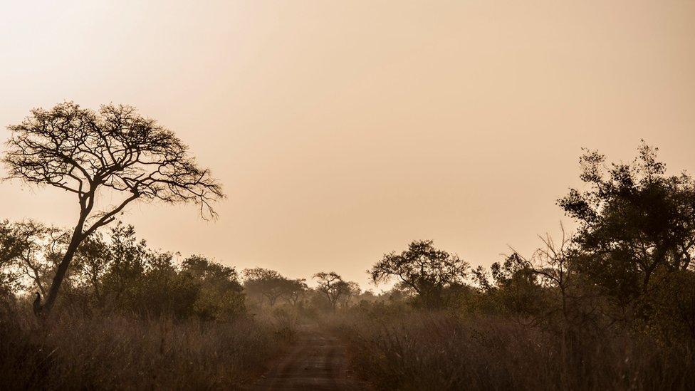 A file photo taken on 10 January, 2018 shows a general view of the landscape in Pendjari National Park