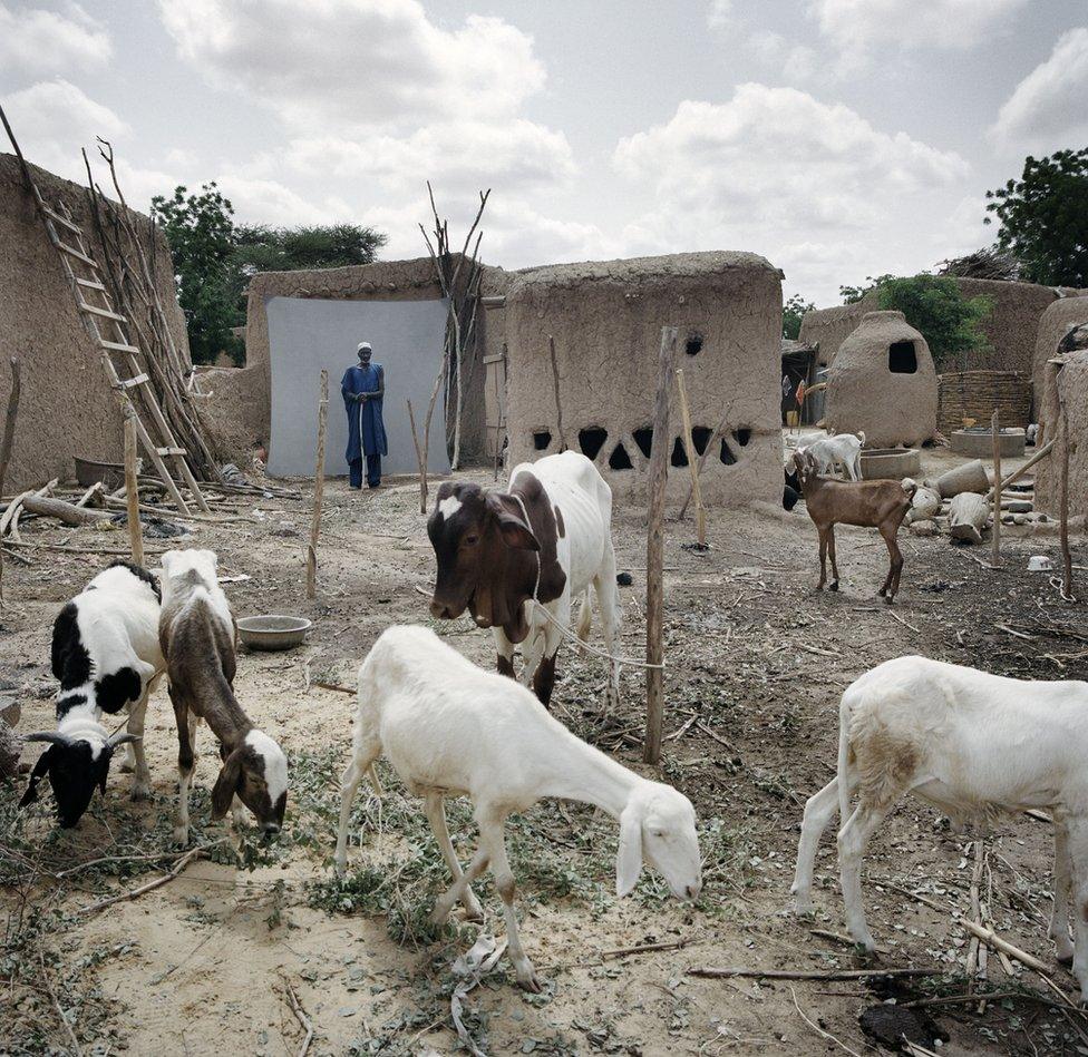 A farmer stands amongst his animals.