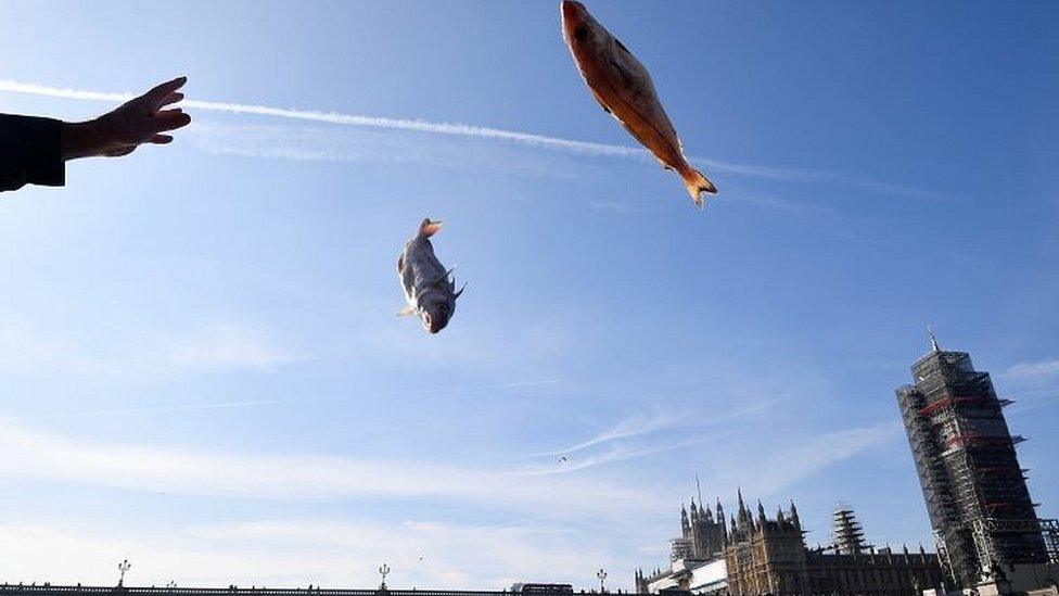 Fish thrown into the Thames by Parliament