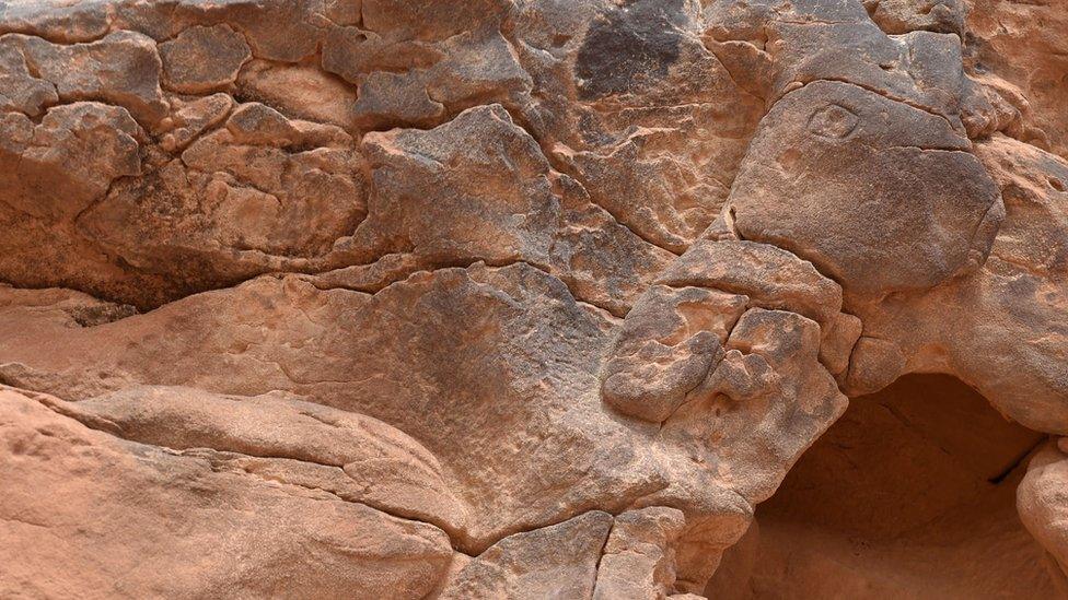 A camel face carved into rocks in Saudi Arabia