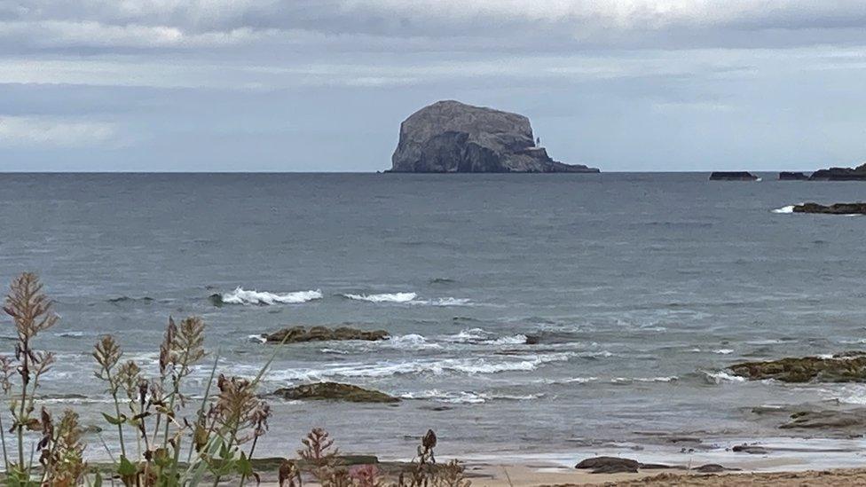 bass rock