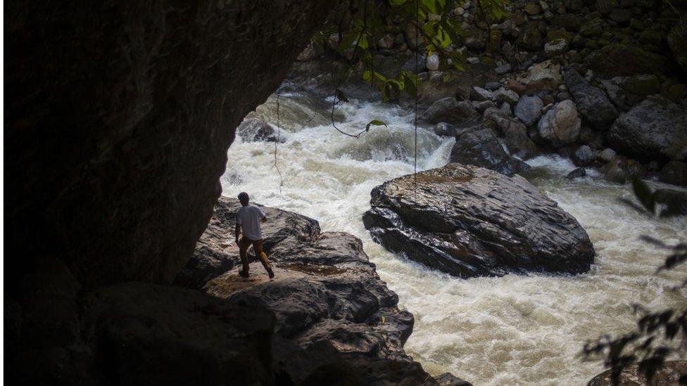 Yanachaga-Chemillén National Park