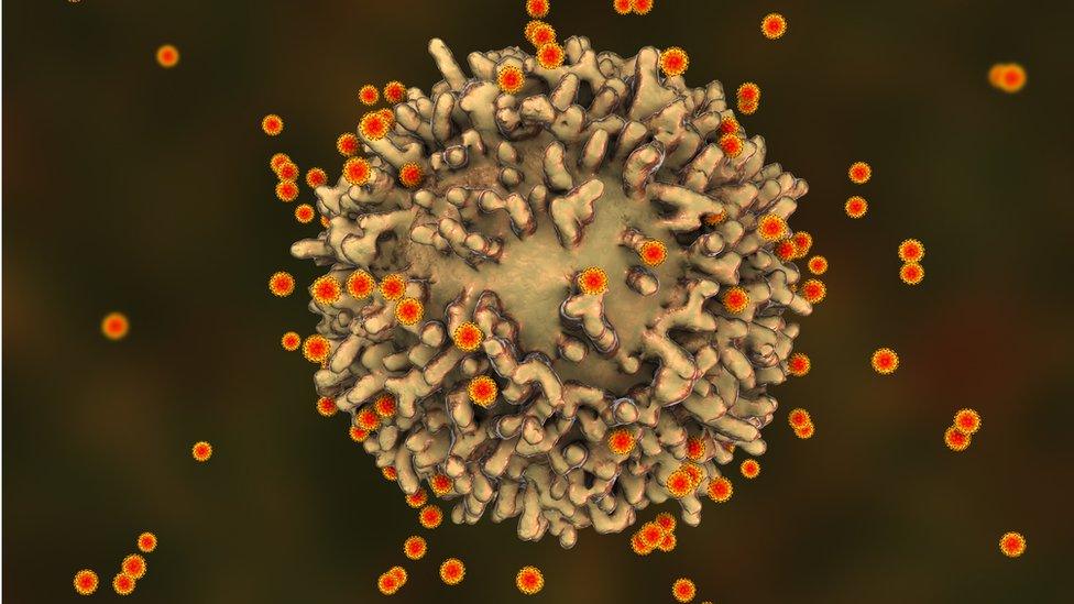 SARS-CoV-2 virus