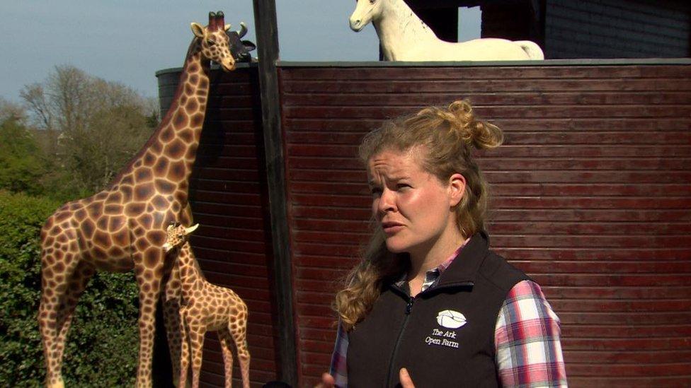 Lindy Birse, the owner of the Ark Open Farm, standing outside next to some toy giraffes with the sun shining