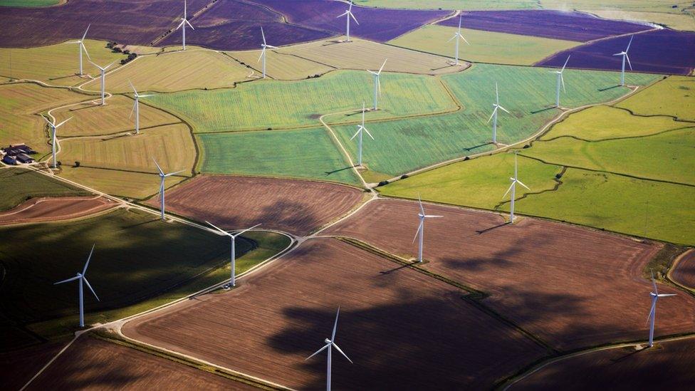 Wind turbines in a field