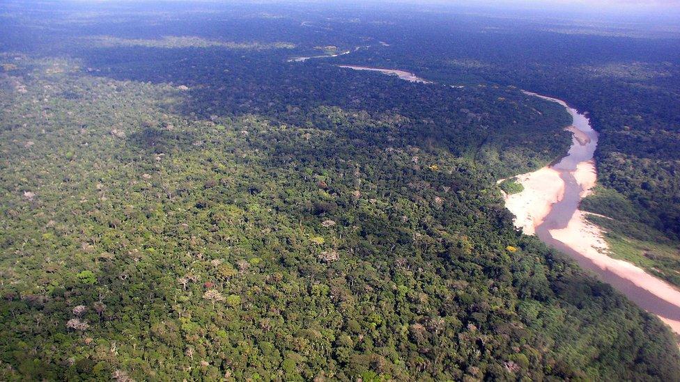 Aerial view of the Amazon rainforest (Image: Kyle Dexter)