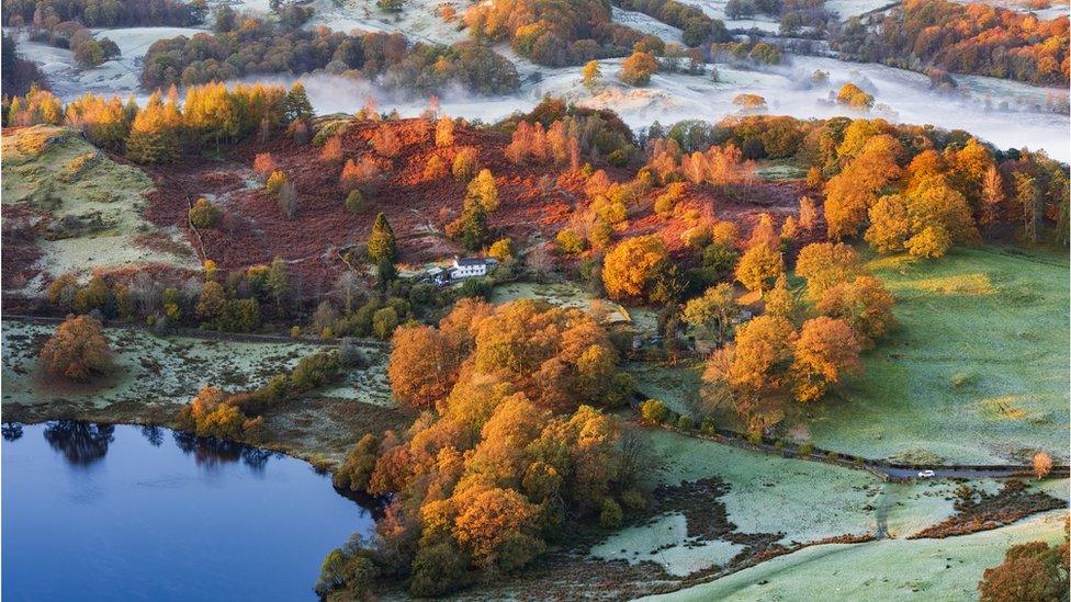 a view of the lake district in the early morning with all the trees turning different colours