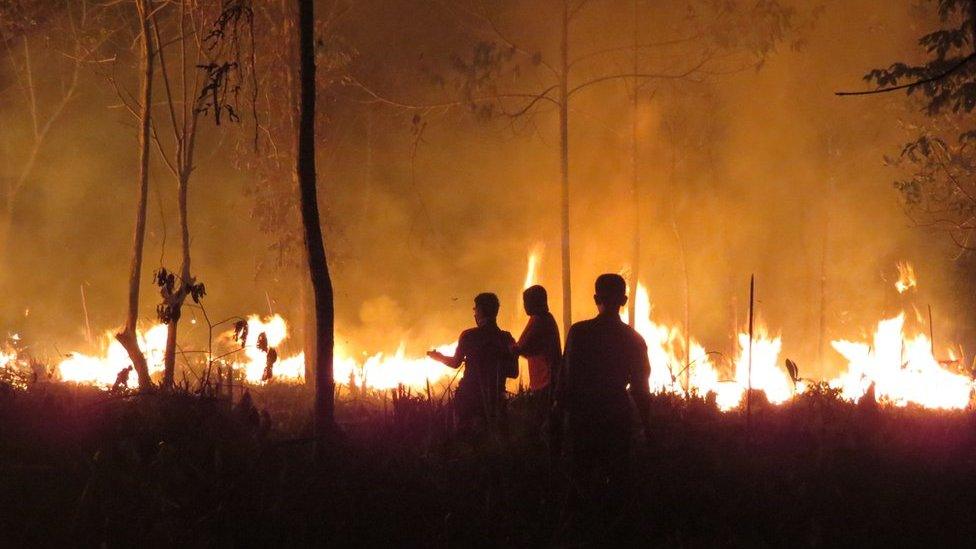 This handout photo taken on 25 September 2015 and released on 9 October 2015 by the Borneo Orangutan Survival Foundation shows fires continuing to rage late at night at the Samboja Lestari Orangutan Reintroduction Program site in Samboja, in Indonesia"s East Kalimantan