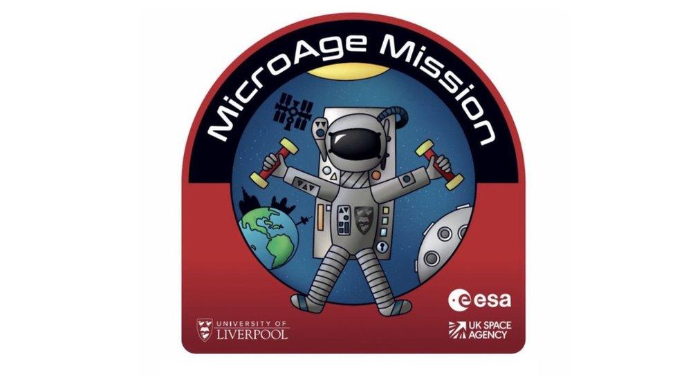 MicroAge mission patch