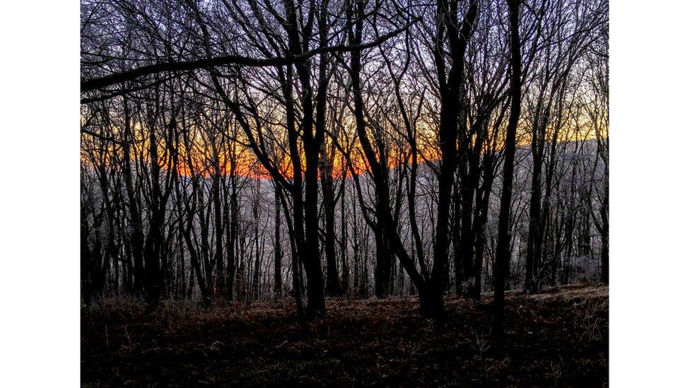 Appalachian Trail