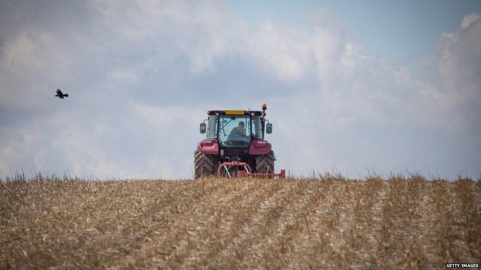 Tractor on a field