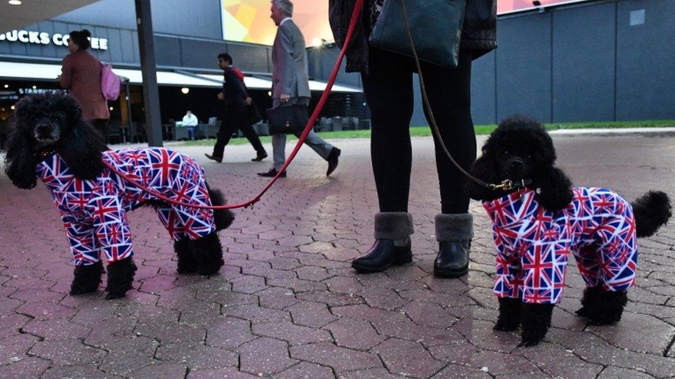 Owners arrive with their dogs