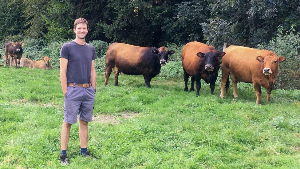 Kilian Baumann is seen standing in an open green field in front of a line of his curious brown cows, who seem to be examining the camera from a distance