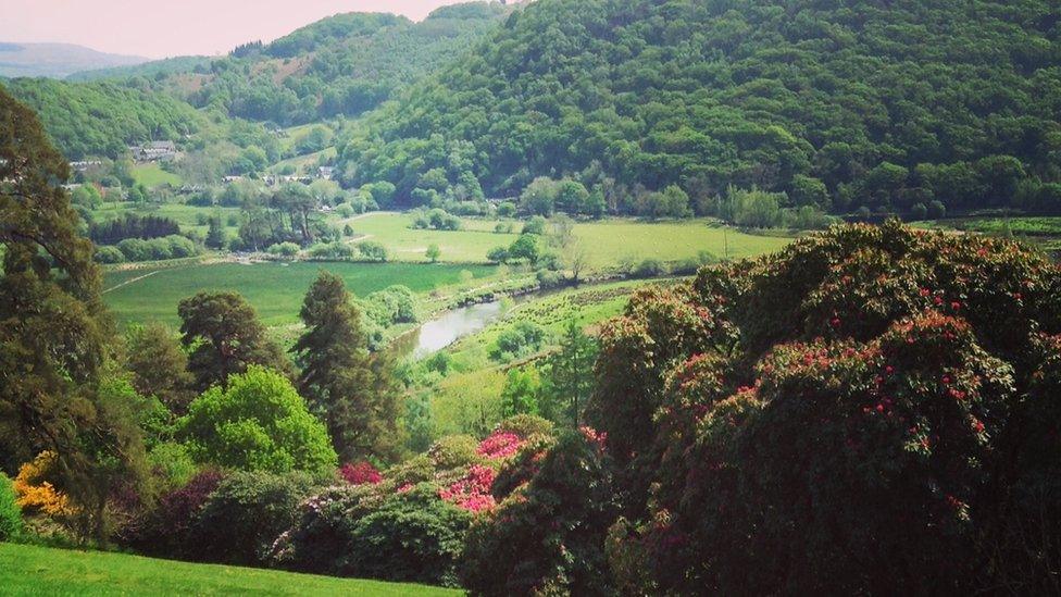 Plas Tan y Bwlch gardens (Spring 2016)