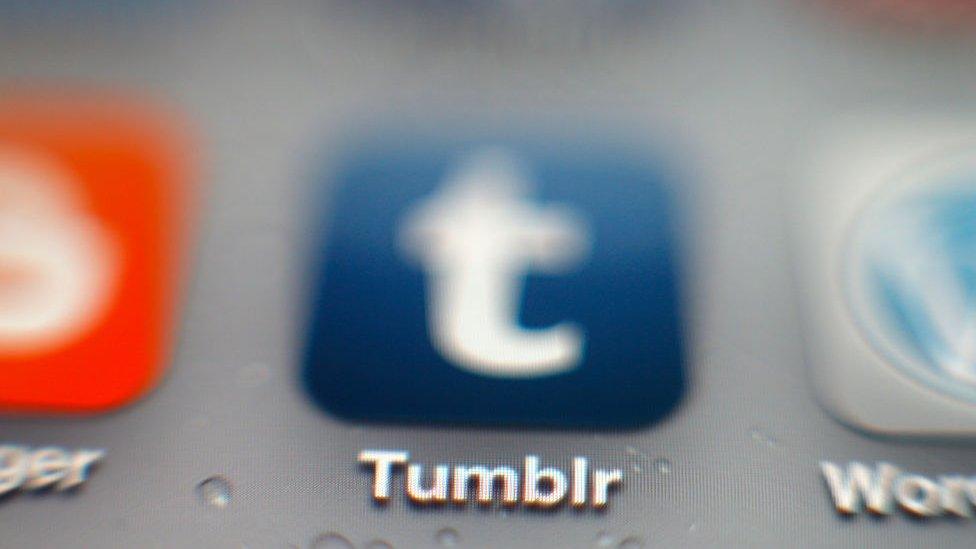 A Tumblr app logo