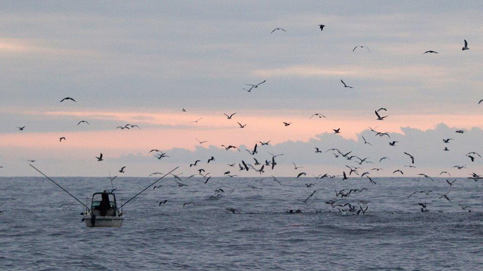 A fishing boat in UK waters