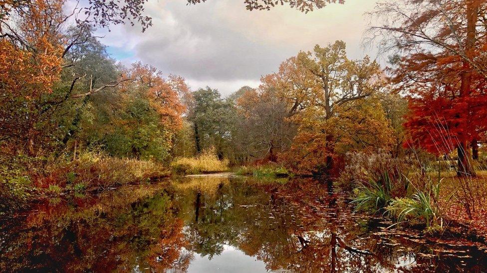 Water in the foreground reflects the reds, green and yellows of the trees above