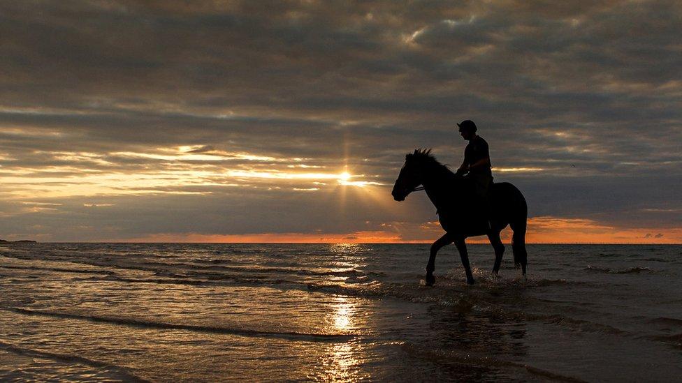 Household Cavalry Mounted Regiment on Holkham beach