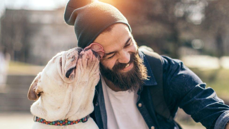 A dog licking a man's beard.