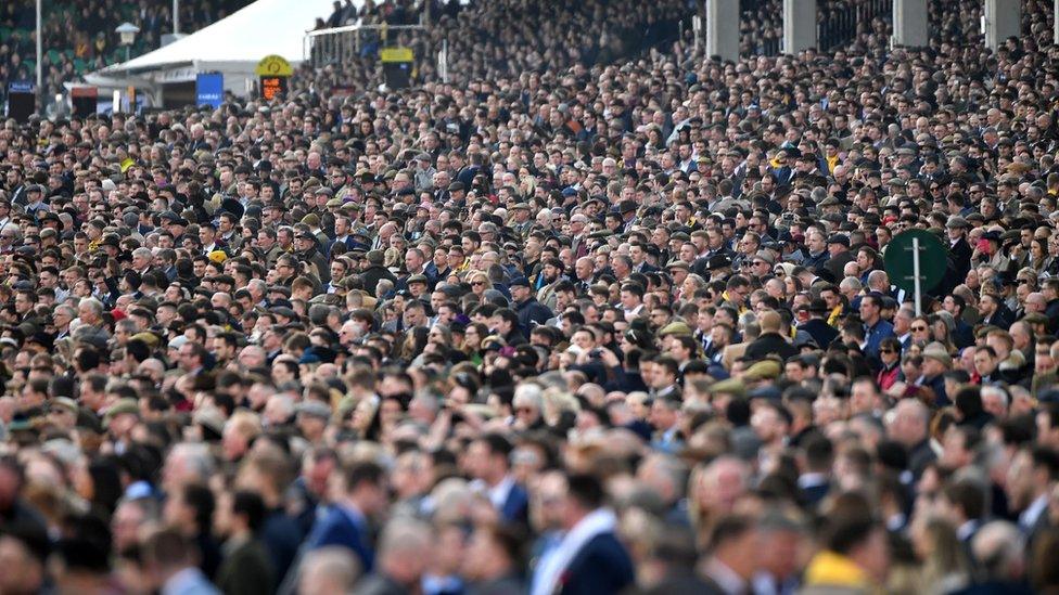 Crowd at Cheltenham Festival