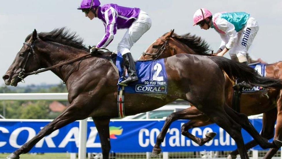 Horses with Coral branding