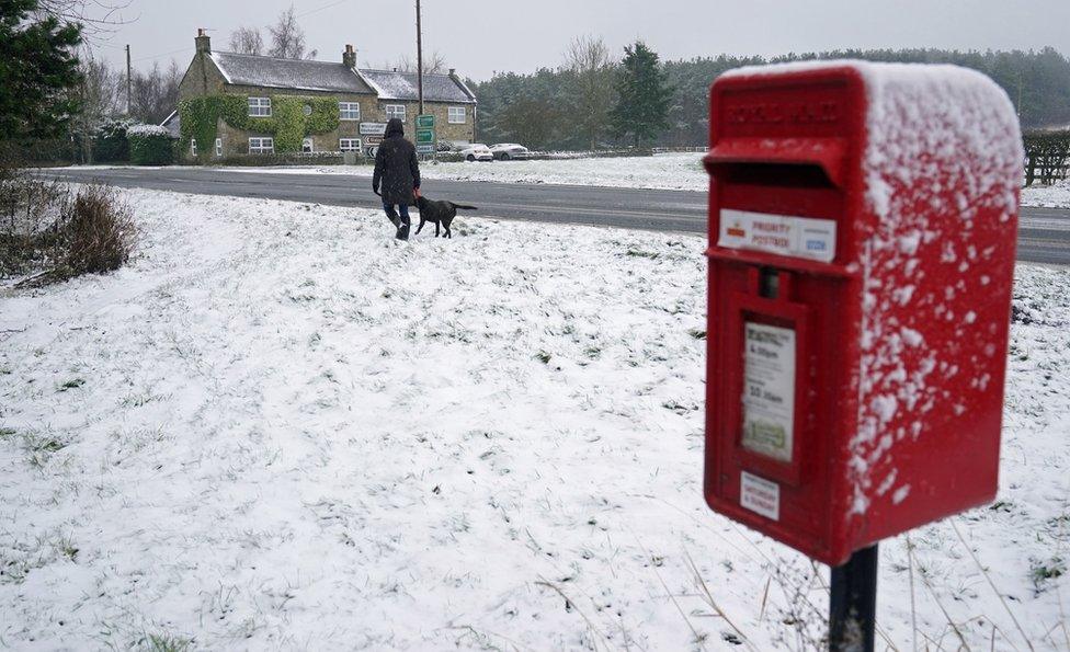 A woman walks her dog through the snow at Slayley in Northumberland