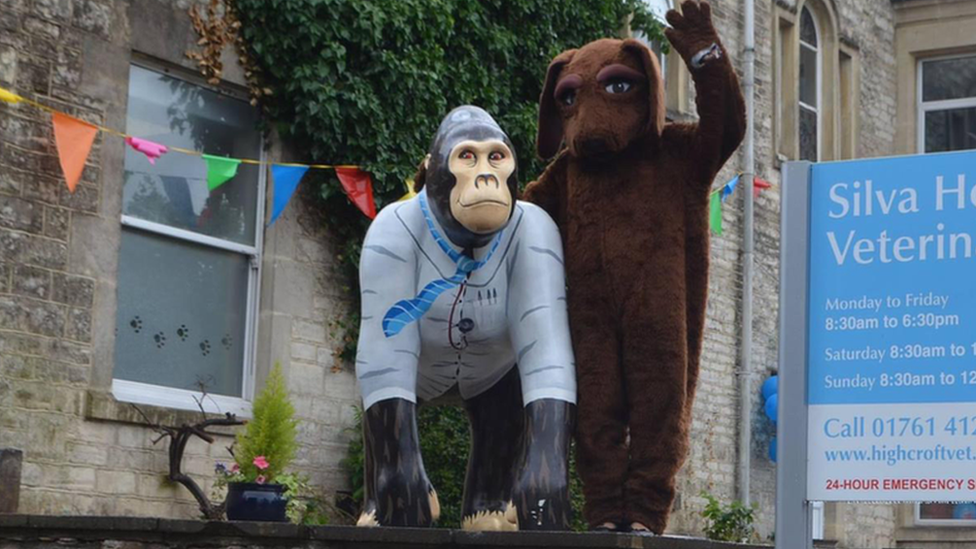 Charlie the gorilla sat outside the vets