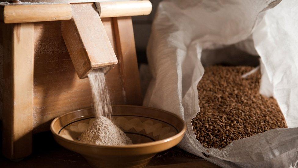 wheat-grinding-into-flour