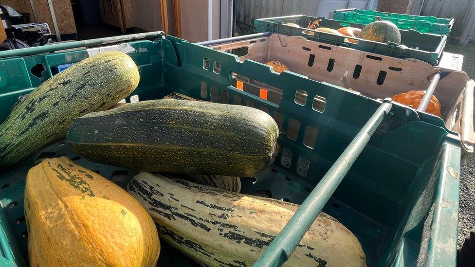 Containers full of freshly grown vegetables