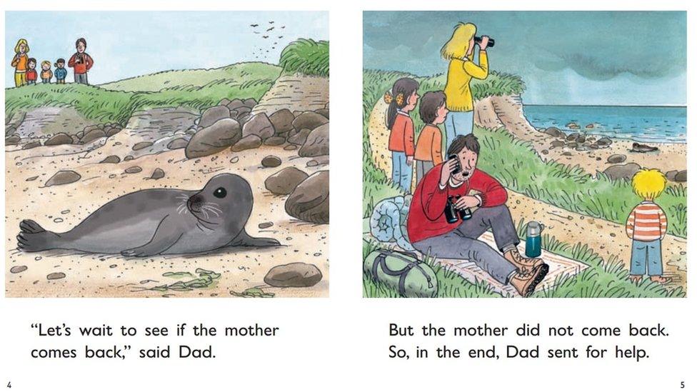 Seal pup story