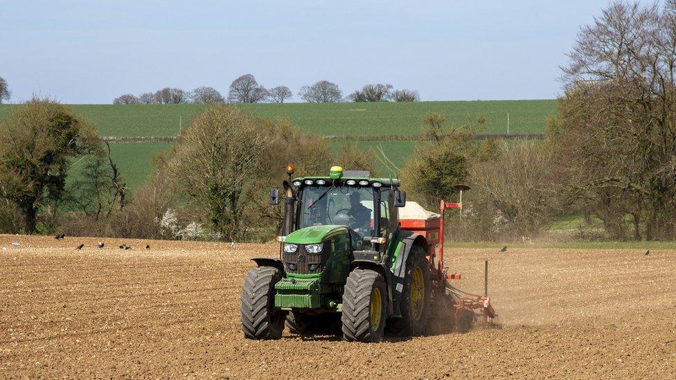 Tractor in field