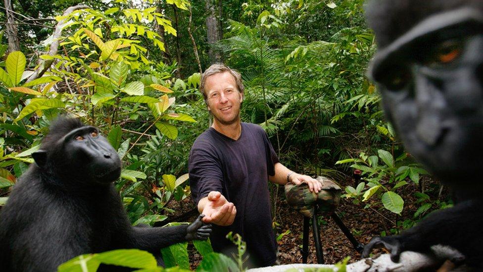 David Slater with crested macaque