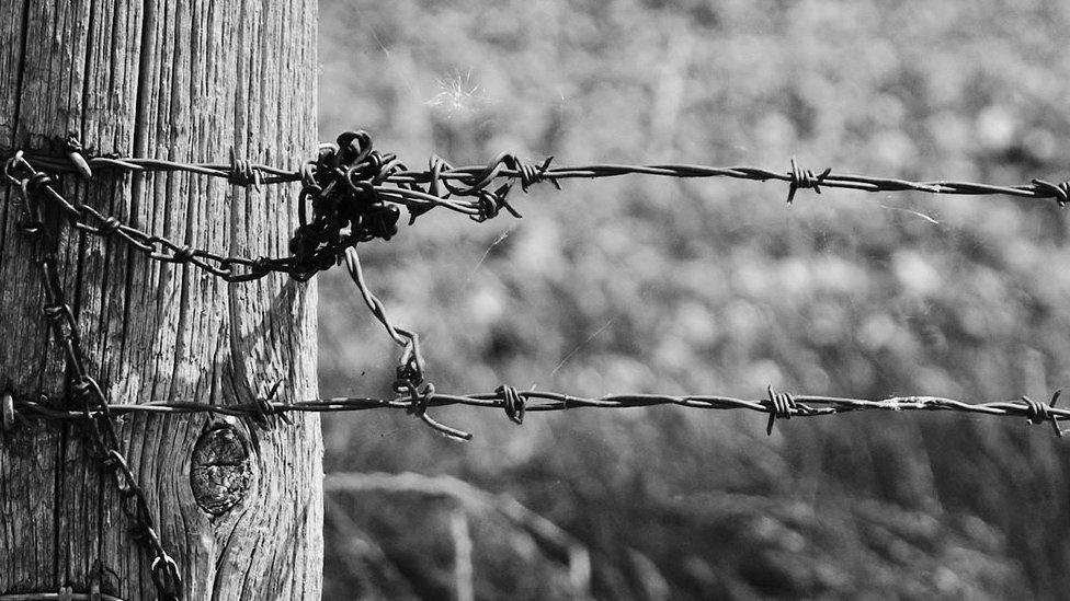 Barbed wire