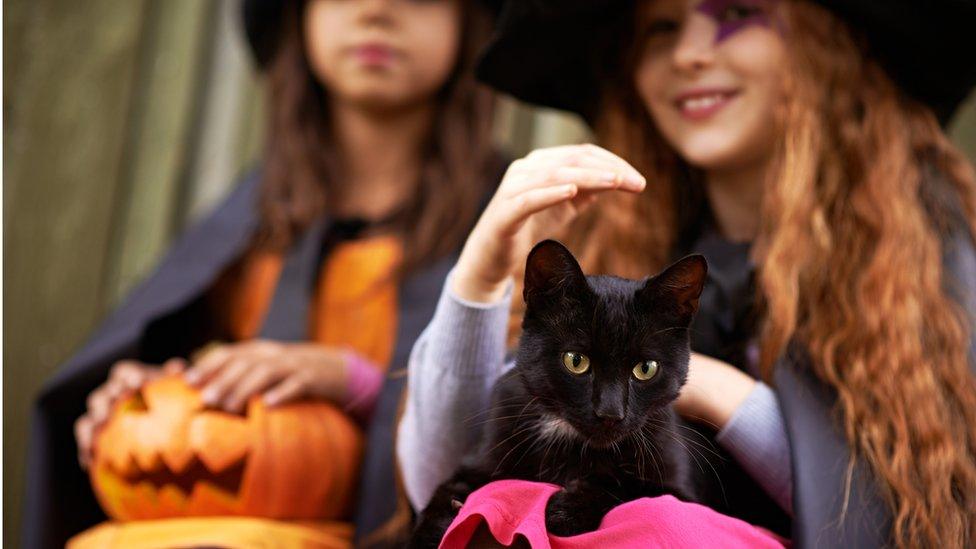 children dressed as witches with a black cat