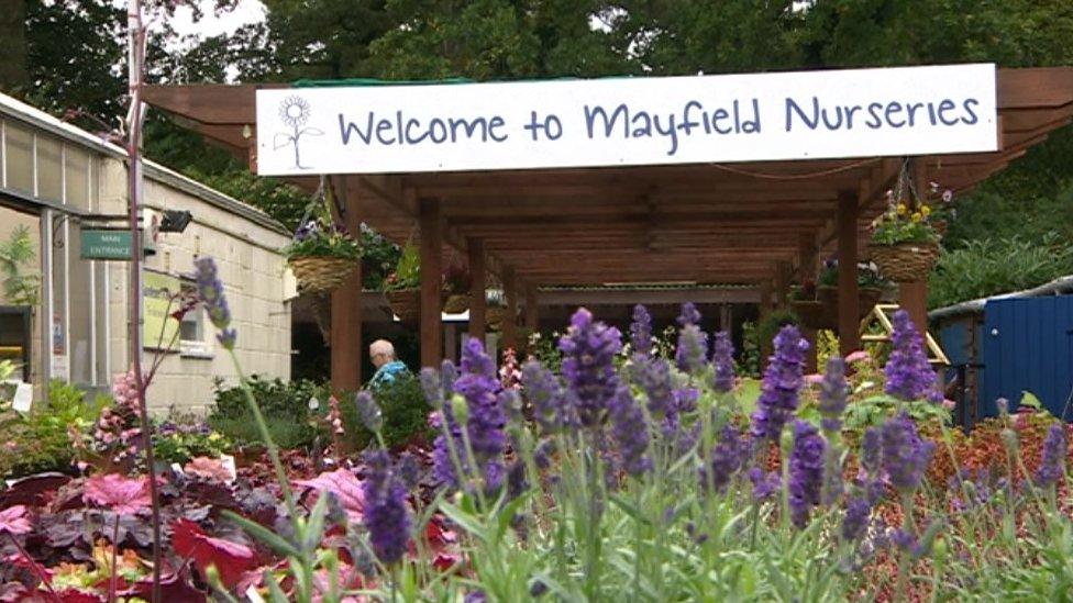 Mayfield Nurseries