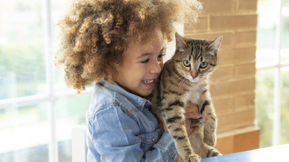 child hugging cat